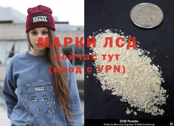 spice Дмитровск