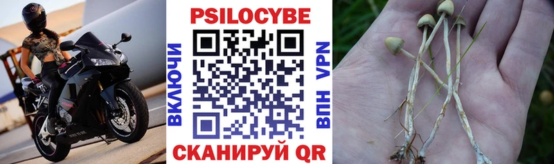 Галлюциногенные грибы Psilocybine cubensis  где купить наркоту  Ульяновск 